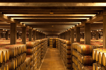 La Rioja Wine Barrels - obrazy, fototapety, plakaty