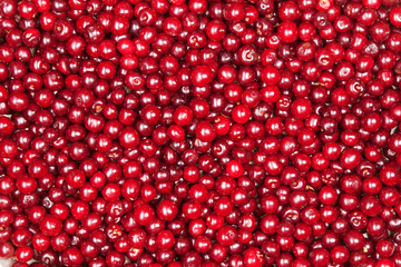 red cherry