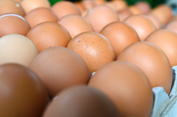 Egg is row on packaging