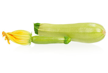 Vegetable marrow