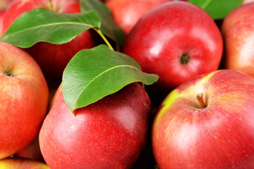 Ripe red apples close up