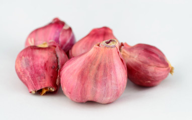 Fototapeta premium Shallot onions isolated over white background.