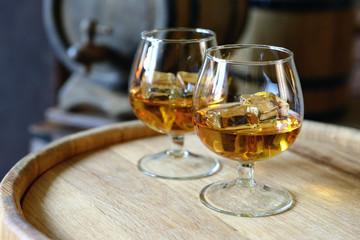 Glasses of brandy in cellar with old barrels