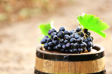 Grape on barrel, outdoors