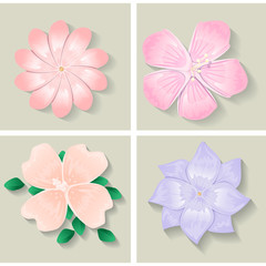 Flowers Set - Isolated On Gray Background