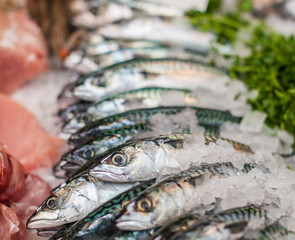 Fresh fish on ice at a food market