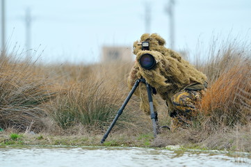 wildlife photographer outdoor