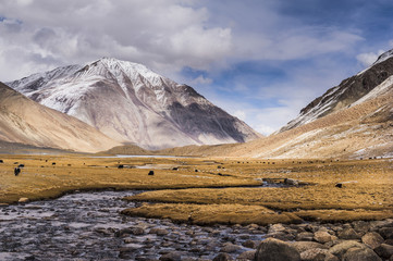 Beautiful Landscape in north india