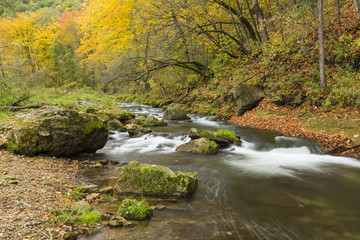 Whitewater River In Autumn
