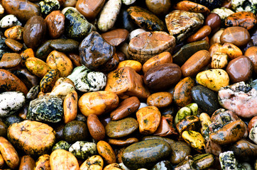 The wet brown stone