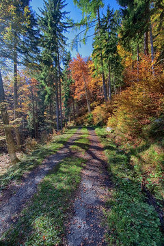 Hdr....Autunno