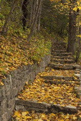 Stone Step Trail In Autumn