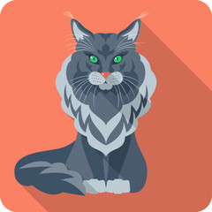 Obraz premium Vector Cat Maine Coon icon flat design
