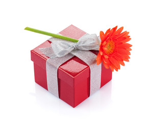 Orange gerbera flower over red gift box