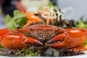 crab