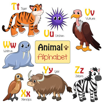 Alphabet animals from T to Z