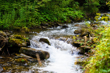 River in mountains. Carpathian, Ukraine, Europe.