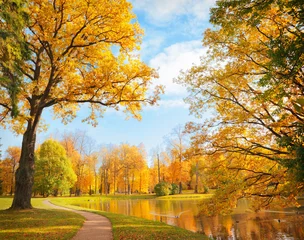 Foto op Plexiglas Herfst Autumn landscape