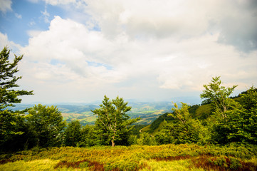 Fototapeta na wymiar summer in the mountains. Carpathian, Ukraine, Europe.