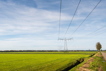 Power lines and pylons in a rural landscape