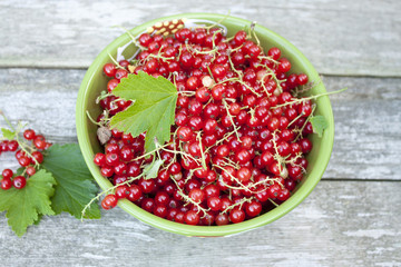 red currant