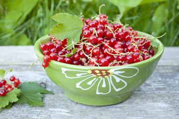 red currant