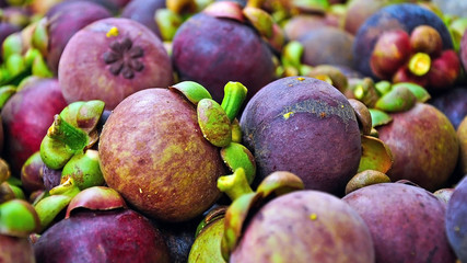 Mangosteen of Thailand