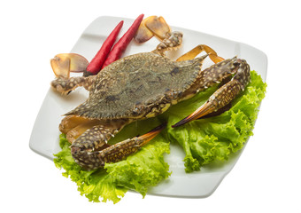 Raw crab