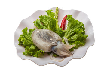 Raw cuttlefish