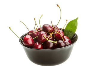 Gean - cherry