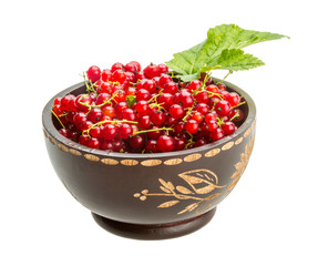 Red currant