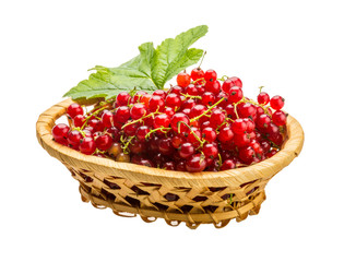 Red currant