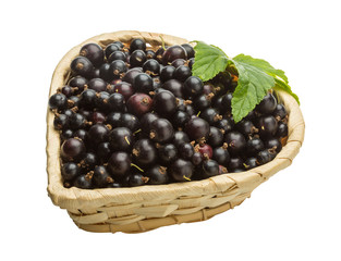 Black currant