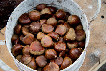 chestnuts in autumn