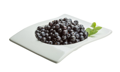 Blueberry