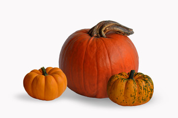 TRIO DE CALABAZAS