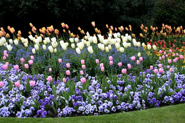 London Hyde Park gardens © Ana