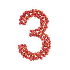 illustration of letters from apples