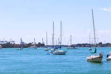 Fototapeta premium Miami marina with moored boats under the afternoon sun.