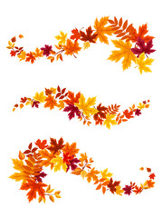 Autumn colorful leaves. Vector illustration.