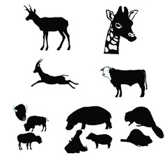 gazelle,giraffe,bison,bull,hippopotamus