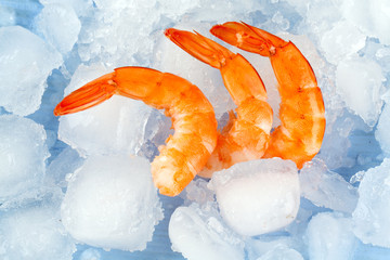 cooked shrimps on ice