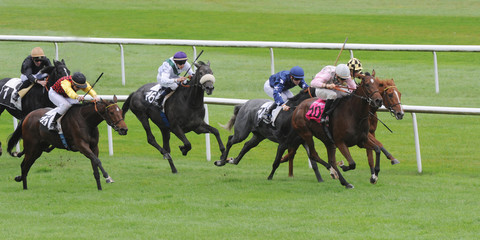 course hippique