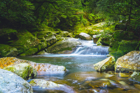 Wasserfall, Yakushima Japan