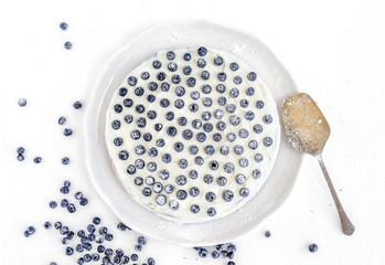 Blueberry cake with creamy icing and fresh bluberries over white