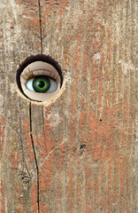 Doll&rsquo;s eye looking through hole in board