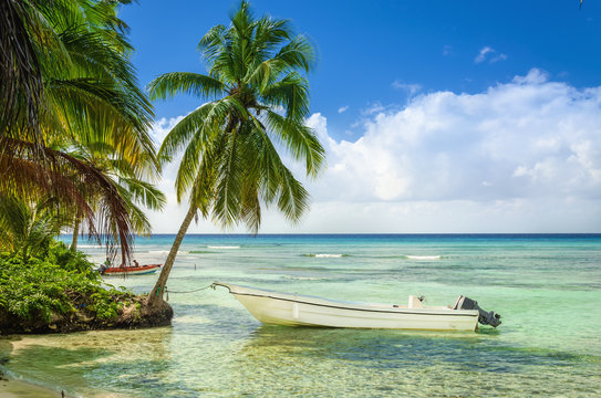 Beautiful beach with palm trees and moored fishing boat