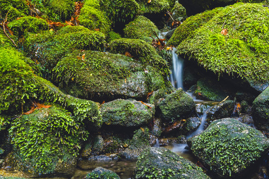 Wasserfall, Yakushima