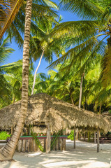 Coast of Caribbean Islands with covered with a thatched roof hut - 71792805