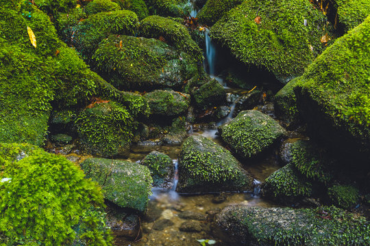 Wasserfall, Yakushima Wasserfall